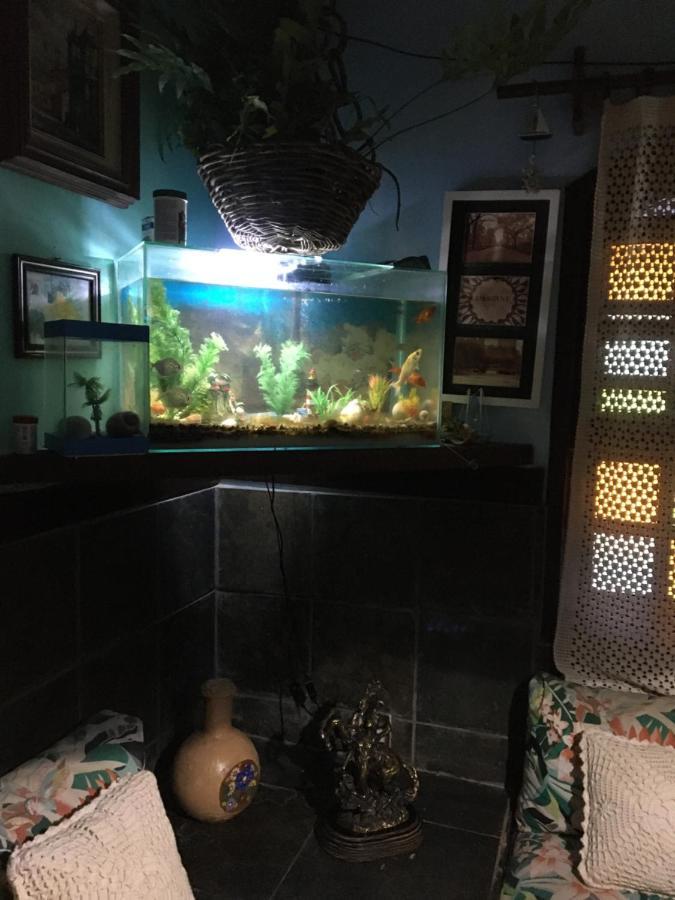 Saquarema Hospedagemアパートメント エクステリア 写真